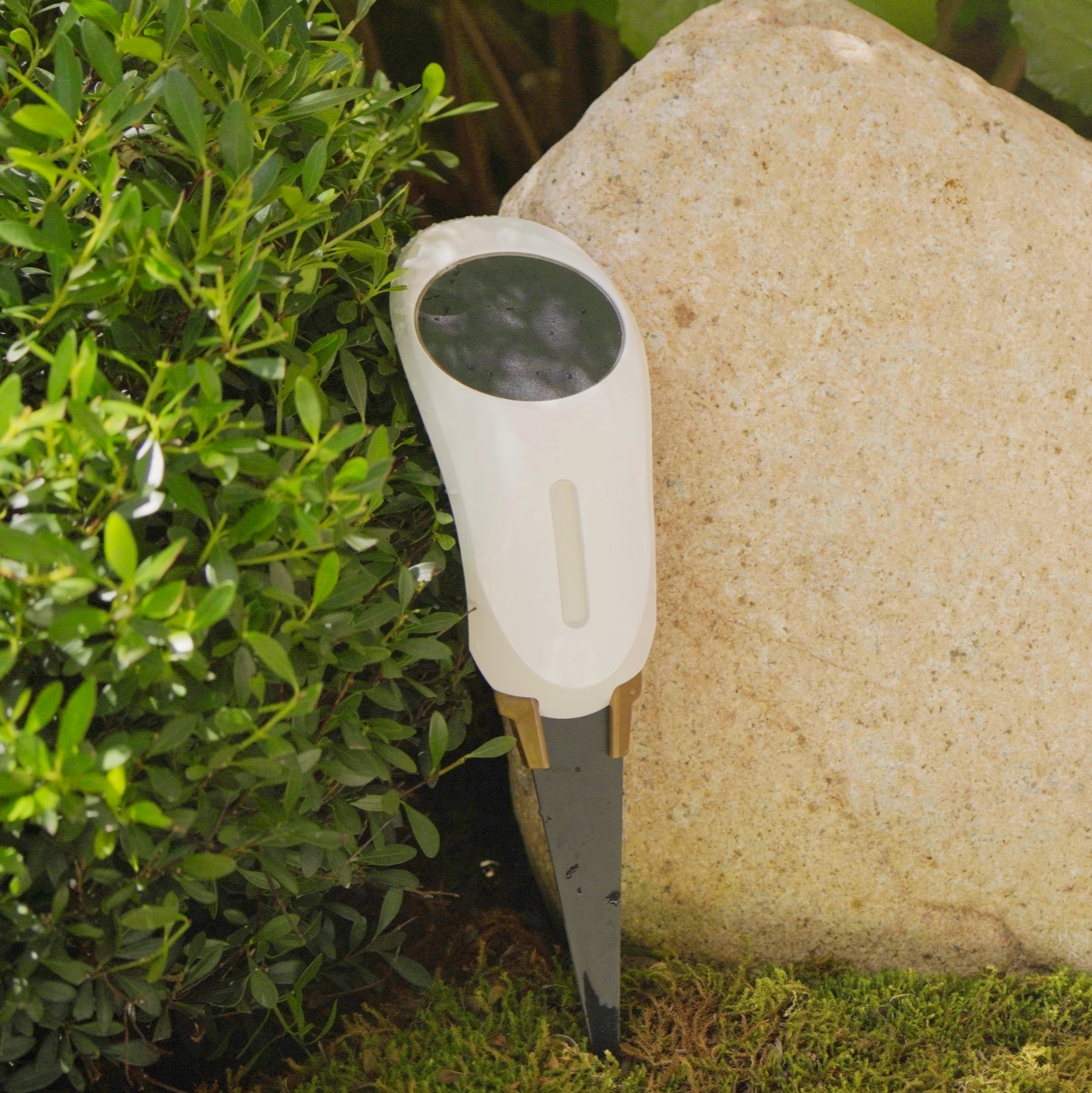 Sensor de humedad nicomótica clavado en la tierra