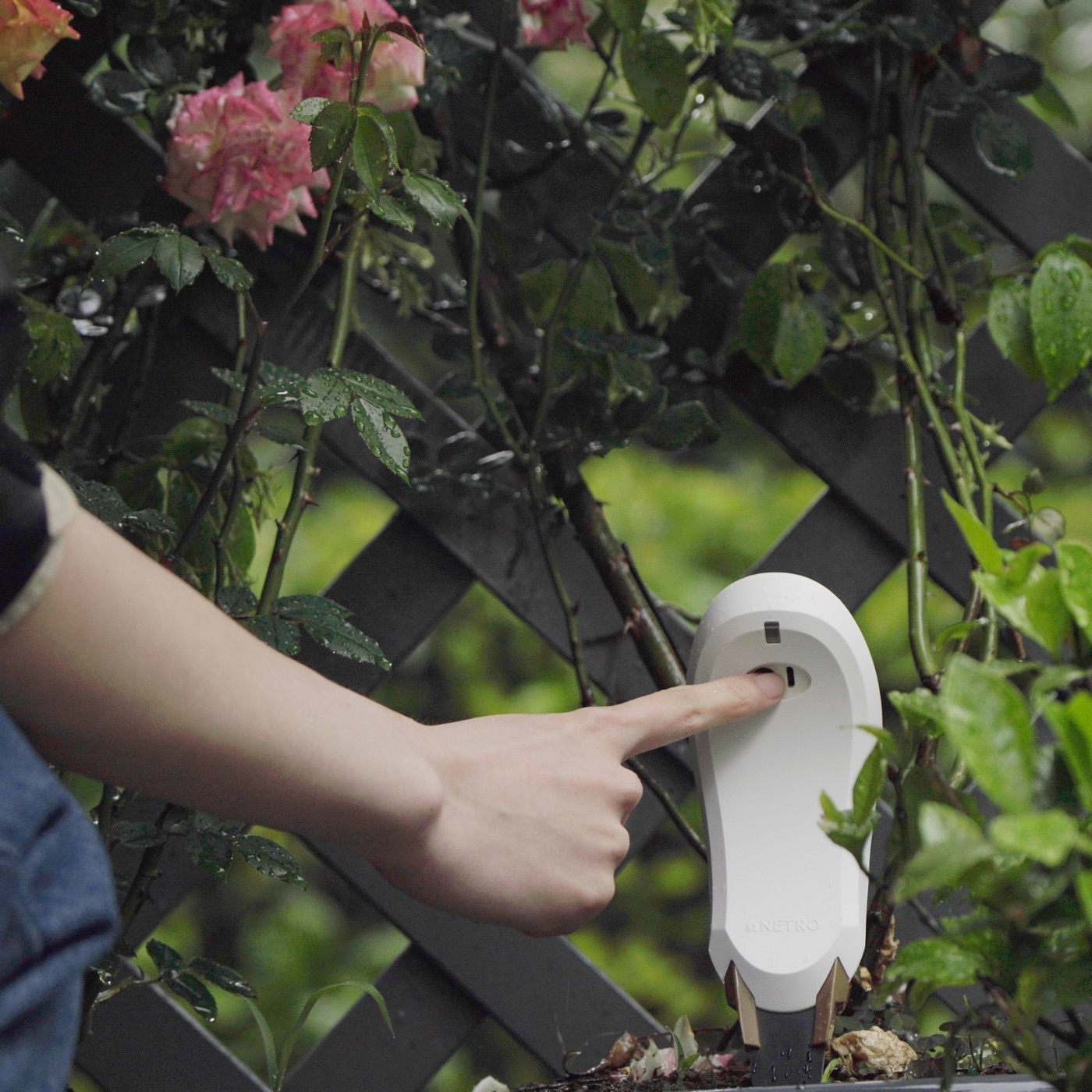 Sensor de humedad nicomótica en uso en el jardín